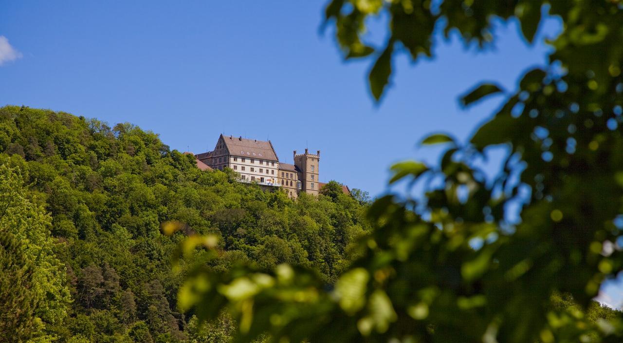 Schloss Weitenburg Starzach Екстер'єр фото